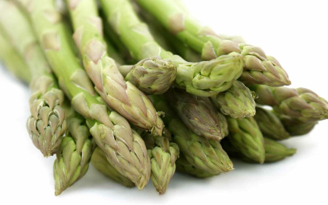 mangiare asparagi