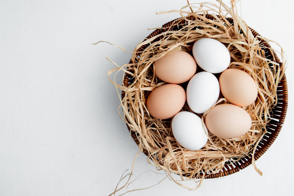 Galateo delle uova: il consiglio che non ti aspetti.